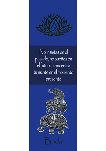 SEPARADOR BUDA (AZUL)