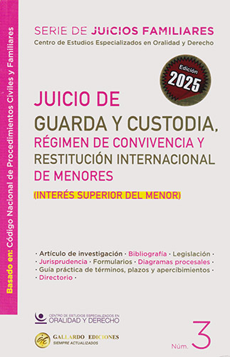 JUICIO DE GUARDA Y CUSTODIA: REGIMEN  DE CONVIVENCIA Y RESTITUCION INTERNACIONAL DE MENORES (INTERES SUPERIOR DEL MENOR)