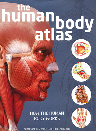 THE HUMAN BODY ATLAS: HOW THE HUMAN BODY WORKS (VERSION EN INGLES)