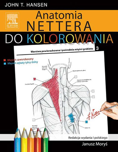NETTERS ANATOMY COLORING BOOK