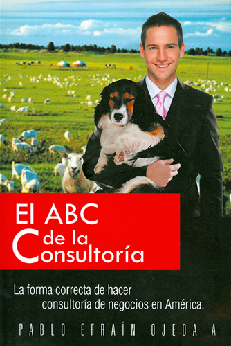 EL ABC DE LA CONSULTORIA