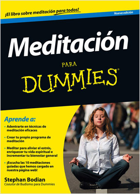MEDITACION PARA DUMMIES