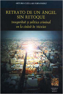 RETRATO DE UN ANGEL SIN RETOQUE: INSEGURIDAD Y POLITICA CRIMINAL EN LA CIUDAD DE MEXICO