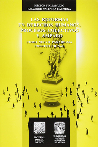 LAS REFORMAS EN DERECHOS HUMANOS, PROCESOS COLECTIVOS Y AMPARO