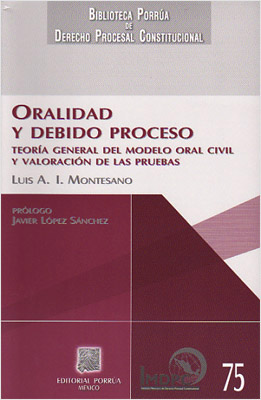 ORABILIDAD Y DEBIDO PROCESO: TEORIA GENERAL DEL MODELO ORAL CIVIL Y VALORACION DE LAS PRUEBAS