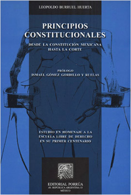 PRINCIPIOS CONSTITUCIONALES