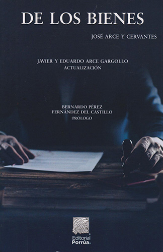 DE LOS BIENES
