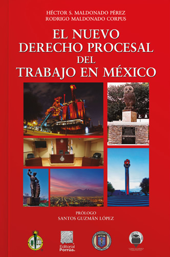 EL NUEVO DERECHO PROCESAL DEL TRABAJO EN MEXICO