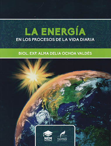 LA ENERGIA EN LOS PROCESOS DE LA VIDA DIARIA (NEM)