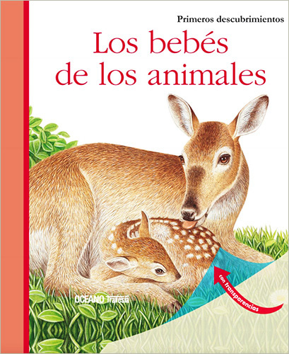 LOS BEBES DE LOS ANIMALES