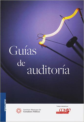 GUIAS DE AUDITORIA 2020 PROFESIONAL