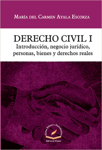 DERECHO CIVIL 1: INTRODUCCION, NEGOCIO JURIDICO, PERSONAS, BIENES Y DERECHOS REALES