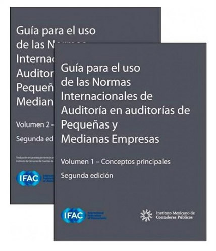 GUIA PARA EL USO DE LAS NORMAS INTERNACIONALES DE AUDITORIA EN PYMES