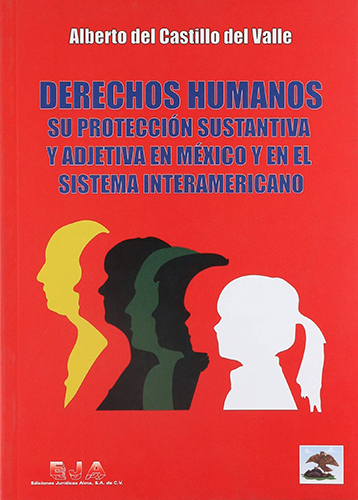 DERECHOS HUMANOS: SU PROTECCION SUSTANTIVA Y ADJETIVA EN MEXICO Y EN EL SISTEMA INTERAMERICANO