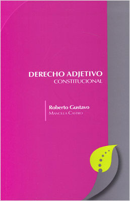 DERECHO ADJETIVO CONSTITUCIONAL