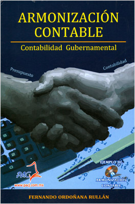 ARMONIZACION CONTABLE: CONTABILIDAD GUBERNAMENTAL (INCLUYE CD)