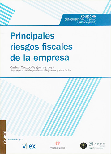 PRINCIPALES RIESGOS FISCALES DE LA EMPRESA