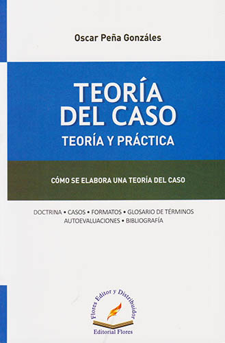 TEORIA DEL CASO: TEORIA Y PRACTICA