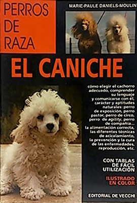EL CANICHE-FRENCH POODLE (DOBLE ORO)