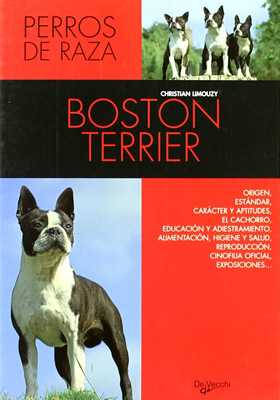 BOSTON TERRIER (DOBLE ORO)