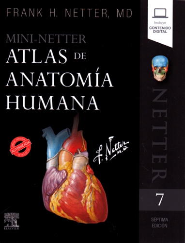 MINI NETTER. ATLAS DE ANATOMIA HUMANA (INCLUYE CONTENIDO DIGITAL)