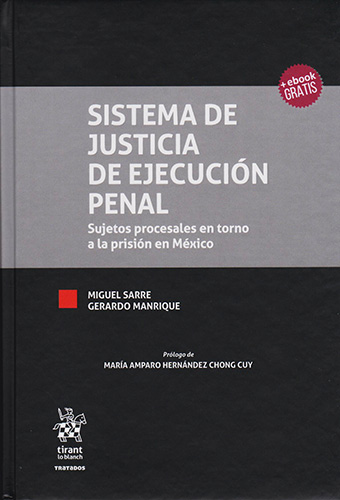 SISTEMA DE JUSTICIA DE EJECUCION PENAL: SUJETOS PROCESALES EN TORNO A LA PRISION EN MEXICO (INCLUYE EBOOK)