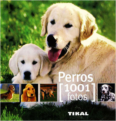 PERROS (1001 FOTOS)