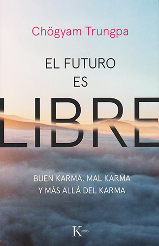 EL FUTURO ES LIBRE: BUEN KARMA, MAL KARMA Y MAS ALLA DEL KARMA