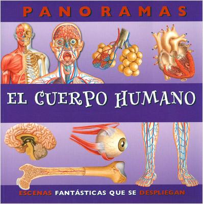 EL CUERPO HUMANO