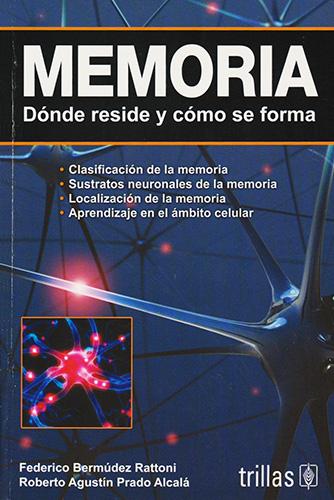 MEMORIA: DONDE RESIDE Y COMO SE FORMA