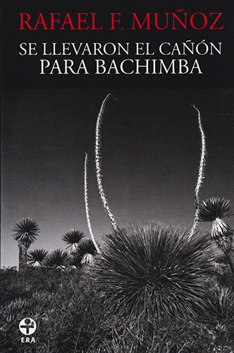 SE LLEVARON EL CAÑON PARA BACHIMBA