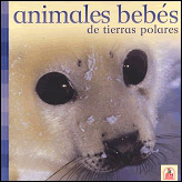ANIMALES BEBES DE TIERRAS POLARES