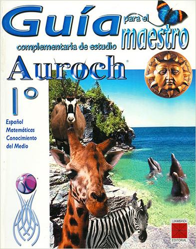 AUROCH PLAN DE CLASES 1º PRIMARIA AVANCE PROGRAMATICO (ANTERIOR)