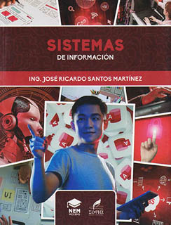 SISTEMAS DE INFORMACION (NEM)