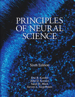 PRINCIPLES OF NEURAL SCIENCE