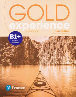 GOLD EXPERIENCE B1+ WORKBOOK