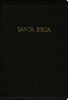 SANTA BIBLIA, REINA VALERA (LETRA GRANDE)