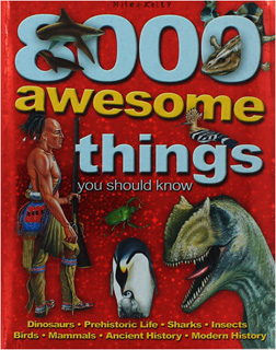 8000 AWESOME THINGS (VERSION EN INGLES)