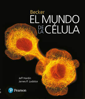 EL MUNDO DE LA CELULA