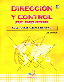 DIRECCION Y CONTROL DE GRUPOS