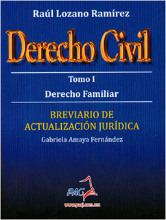 DERECHO CIVIL TOMO 1: DERECHO FAMILIAR, BREVIARIO...
