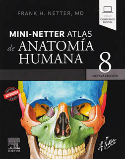 MINI NETTER. ATLAS DE ANATOMIA HUMANA 