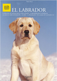 EL LABRADOR