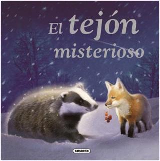 EL TEJON MISTERIOSO