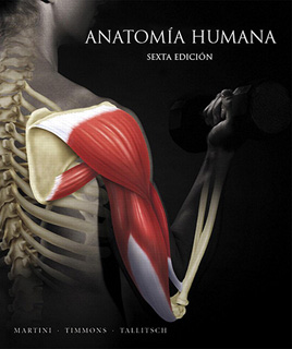 ANATOMIA HUMANA