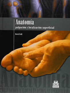 ANATOMIA: PALPACION Y LOCALIZACION SUPERFICIAL