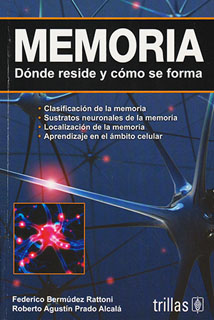 MEMORIA: DONDE RESIDE Y COMO SE FORMA