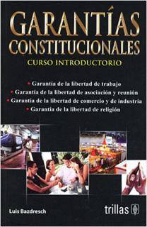 GARANTIAS CONSTITUCIONALES: CURSO INTRODUCTORIO