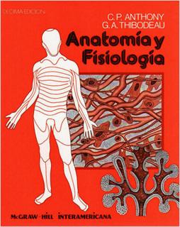 ANATOMIA Y FISIOLOGIA