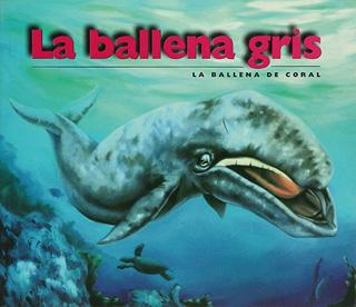 LA BALLENA GRIS, LA BALLENA DE CORAL
